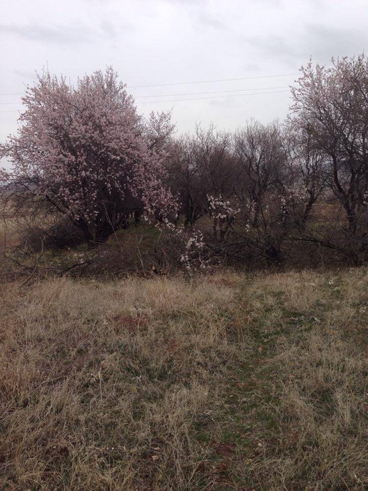 Kalecik Afşar Köyü Resimleri 2