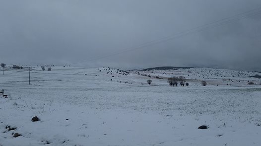 Eskipazar Tamışlar Köyü Resimleri 2