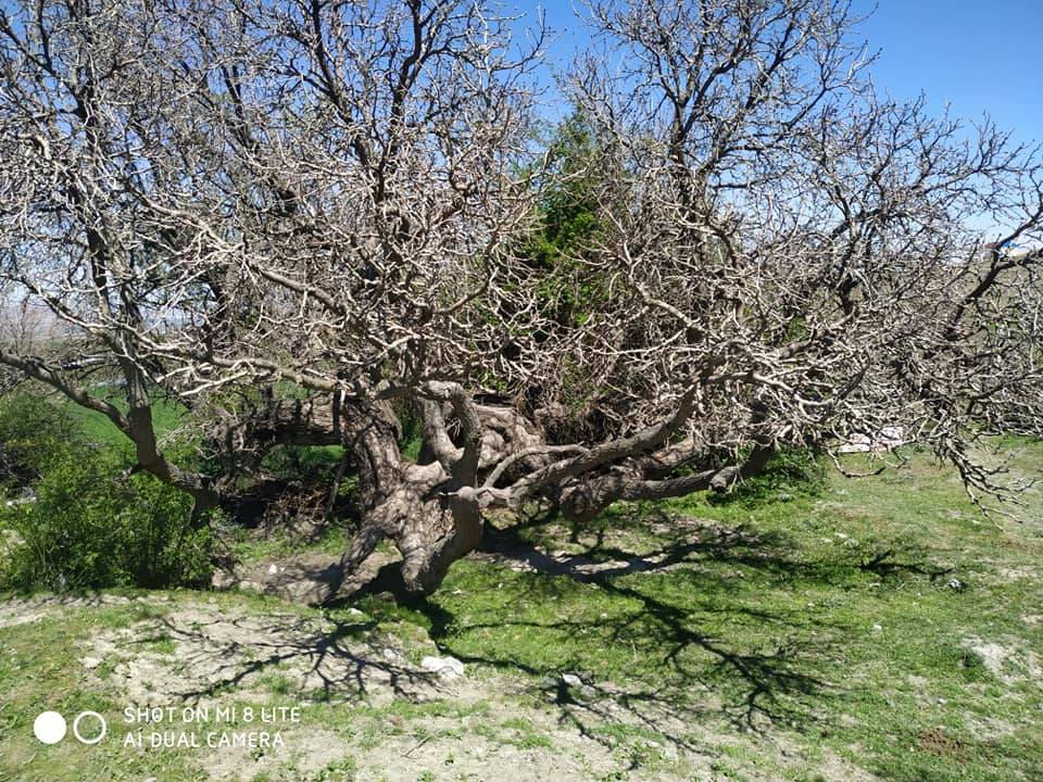 Kalecik Çaykaya Köyü Resimleri 7