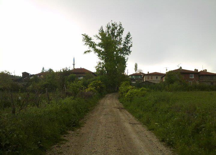 Eskipazar Topçalı Köyü Resimleri 2