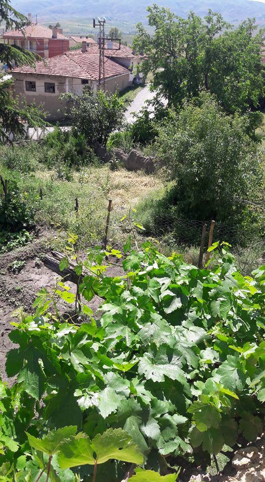 Kalecik Dağdemir Köyü Resimleri 6