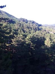 Eskipazar Yeşiller Köyü Resimleri 2