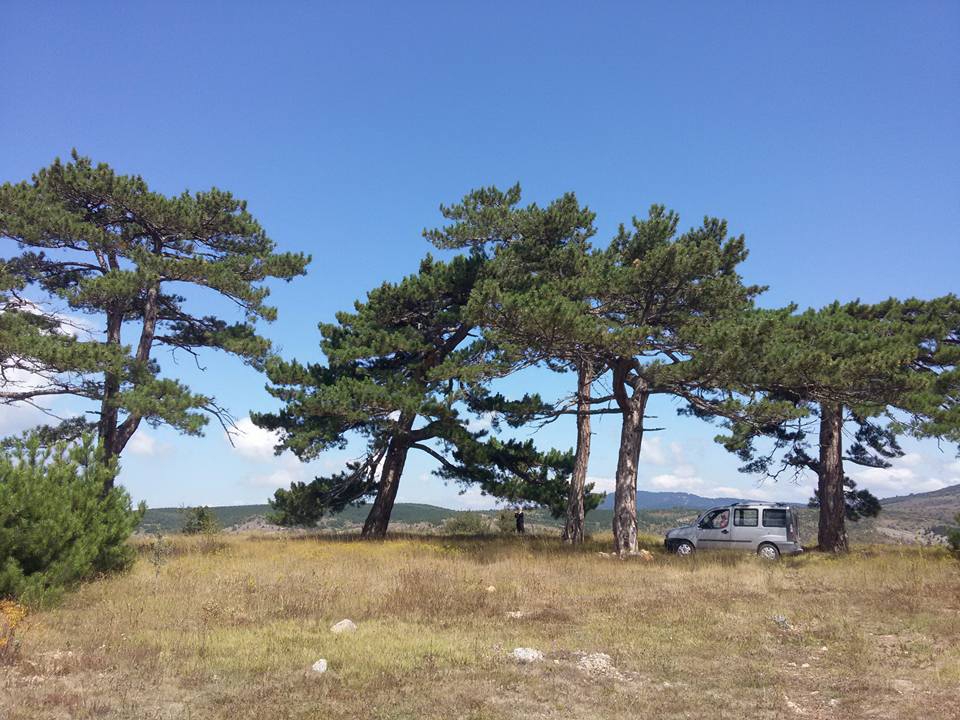 Eskipazar Yeşiller Köyü Resimleri 4