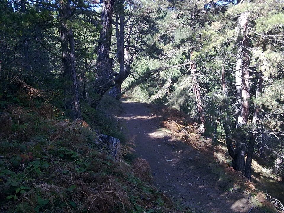 Eskipazar Yürecik Köyü Resimleri 1