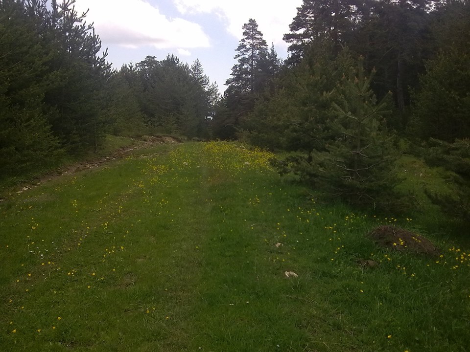 Eskipazar Yürecik Köyü Resimleri 5