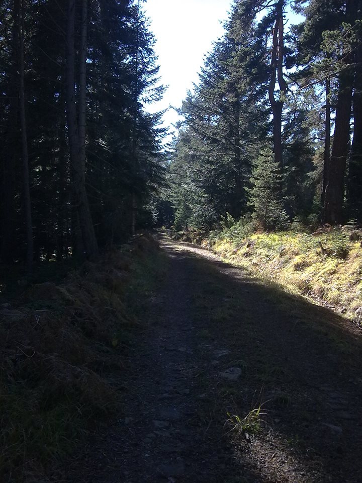 Eskipazar Yürecik Köyü Resimleri 6