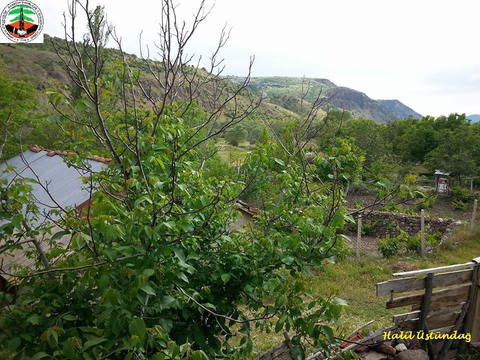 Kızılcahamam Alpagut Köyü Resimleri 2