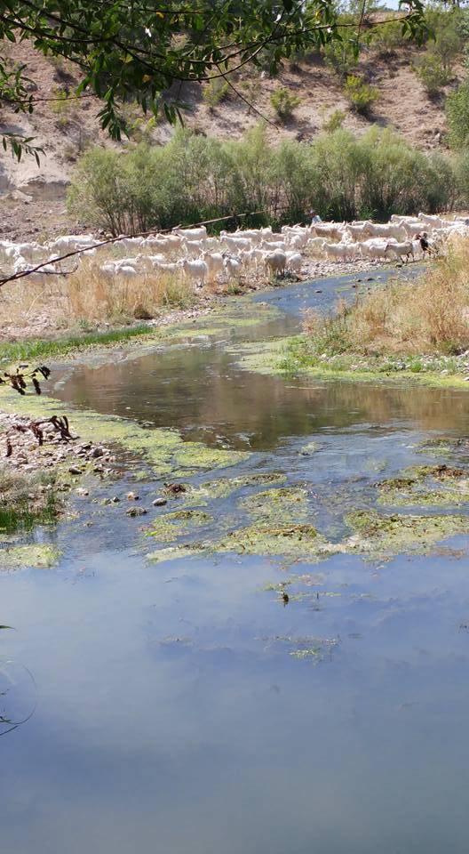 Kızılcahamam Alpagut Köyü Resimleri 3