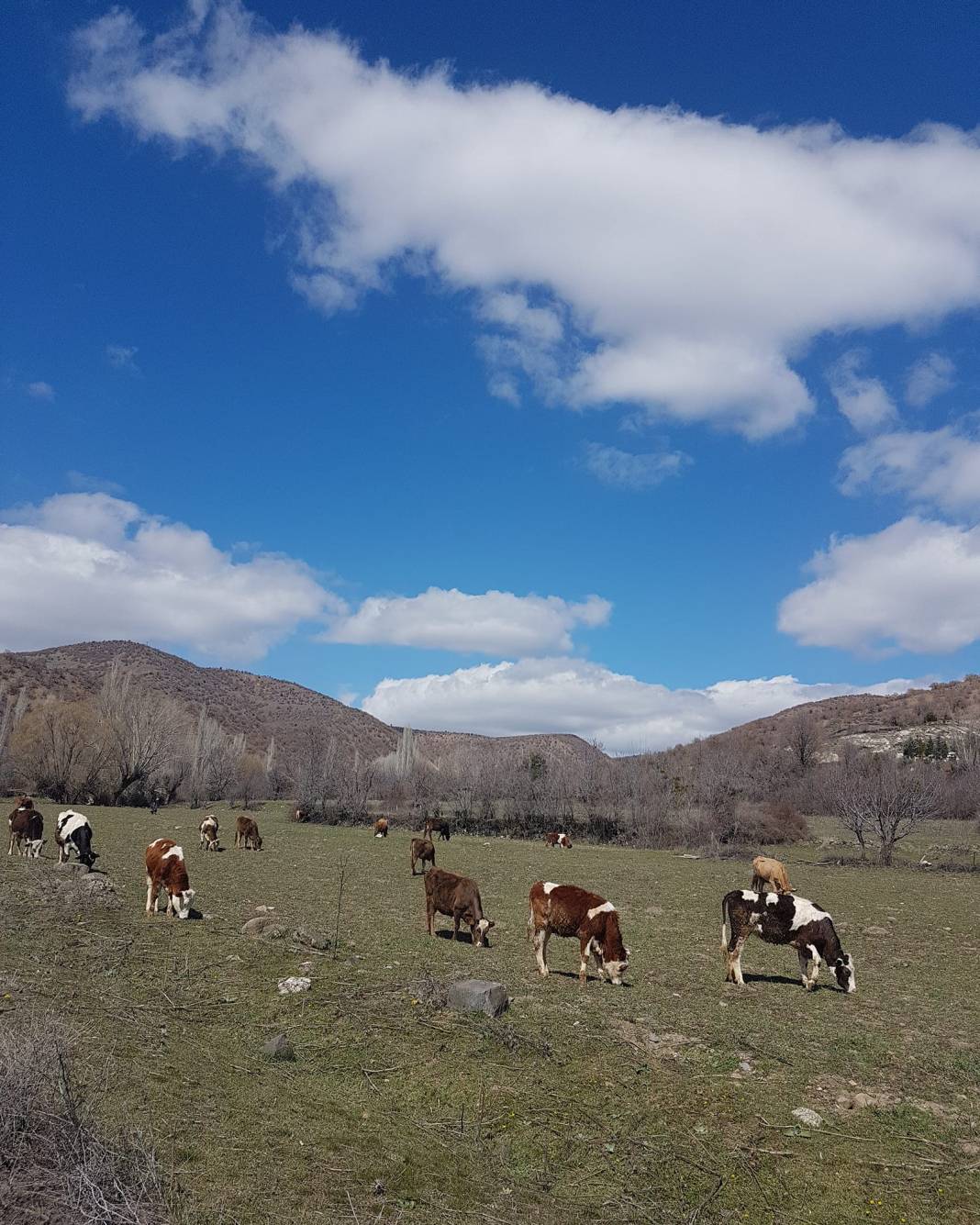 Kızılcahamam Bağören Köyü Resimleri 2