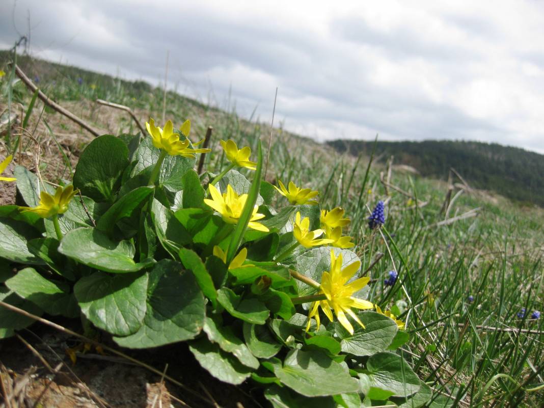 Kızılcahamam Başören Köyü Resimleri 3