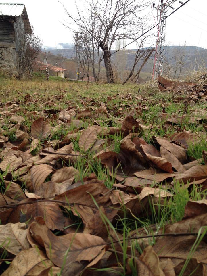 Kızılcahamam Belpınar Köyü Resimleri 4