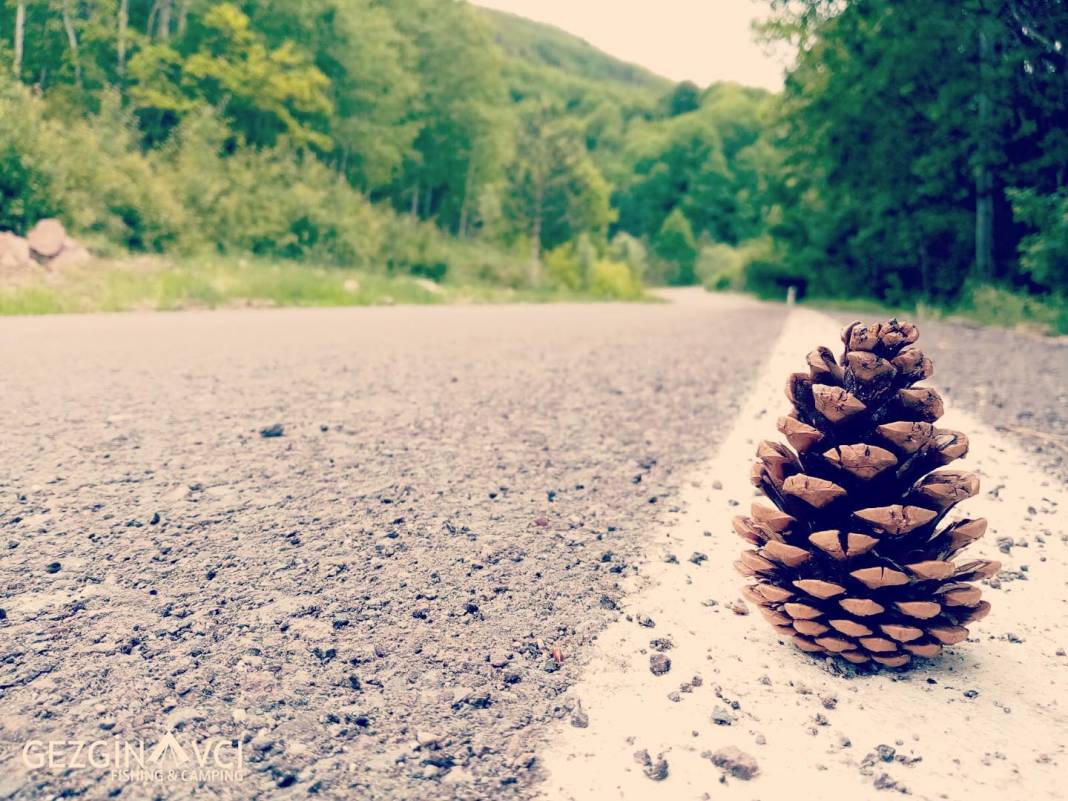 Kızılcahamam Belpınar Köyü Resimleri 8