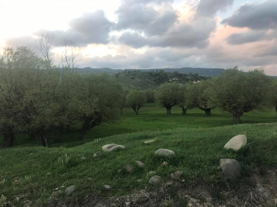 Kızılcahamam Beşkonak Köyü Resimleri 9