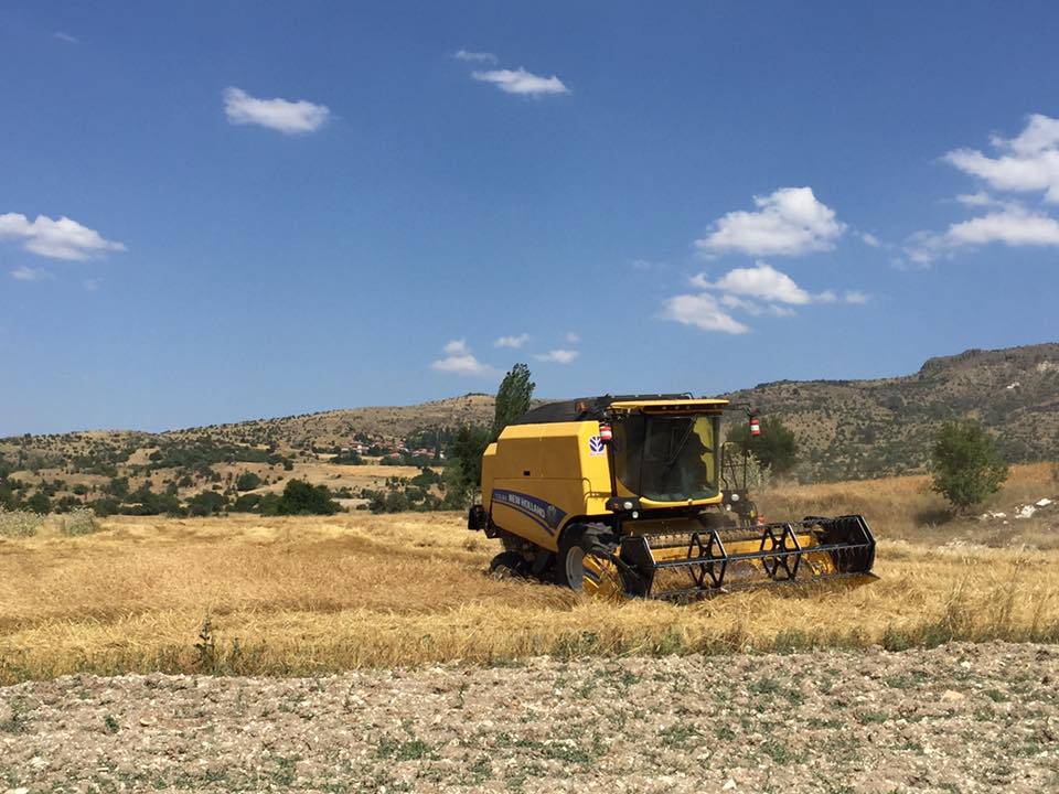 Kızılcahamam Binkoz Köyü Resimleri 11