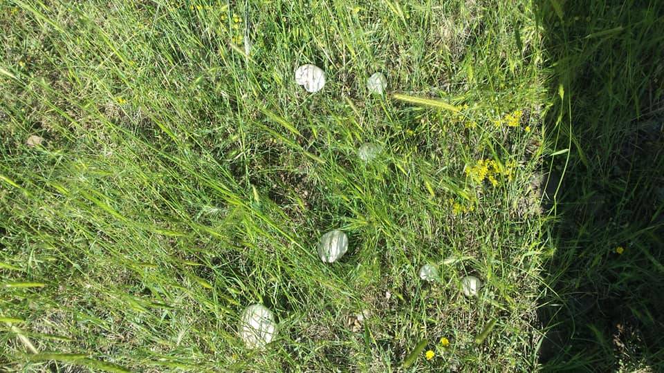 Kızılcahamam Çeçtepe Köyü Resimleri 1