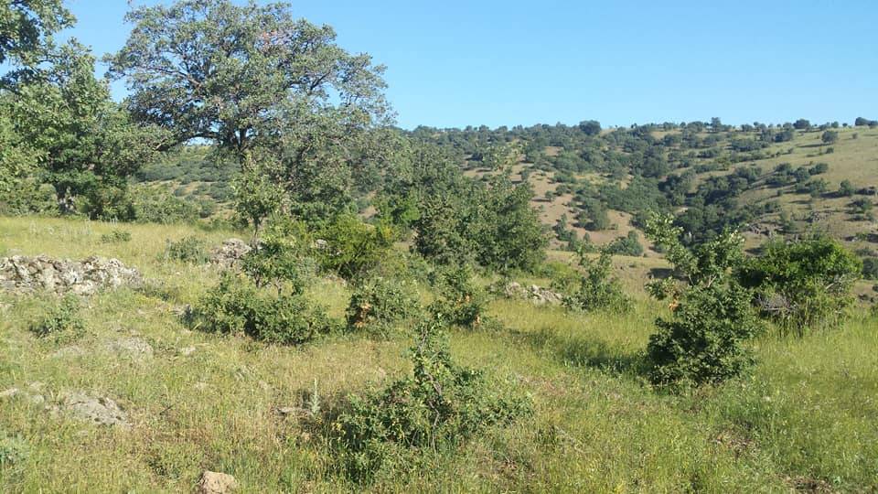 Kızılcahamam Çeçtepe Köyü Resimleri 2