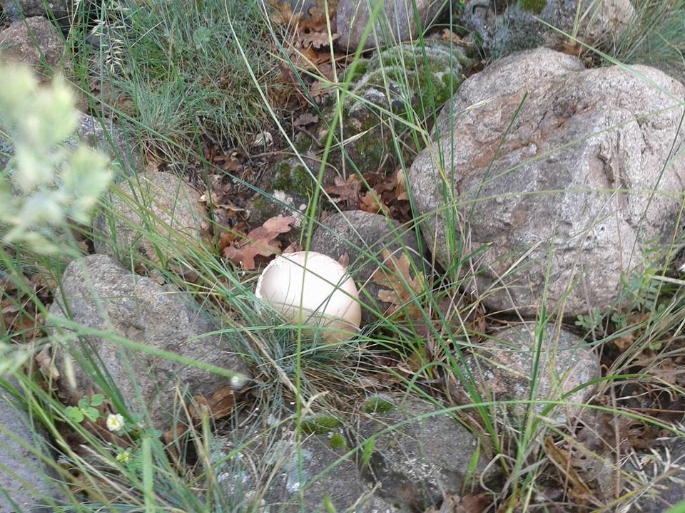 Kızılcahamam Değirmenönü Köyü Resimleri 3