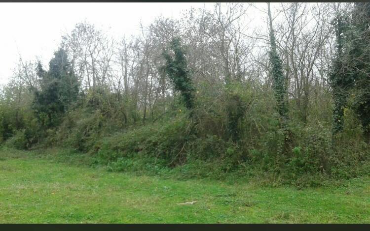 Kaynarca Sabırlı Köyü Resimleri 2