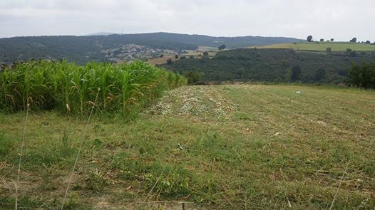 Kaynarca Sabırlı Köyü Resimleri 5