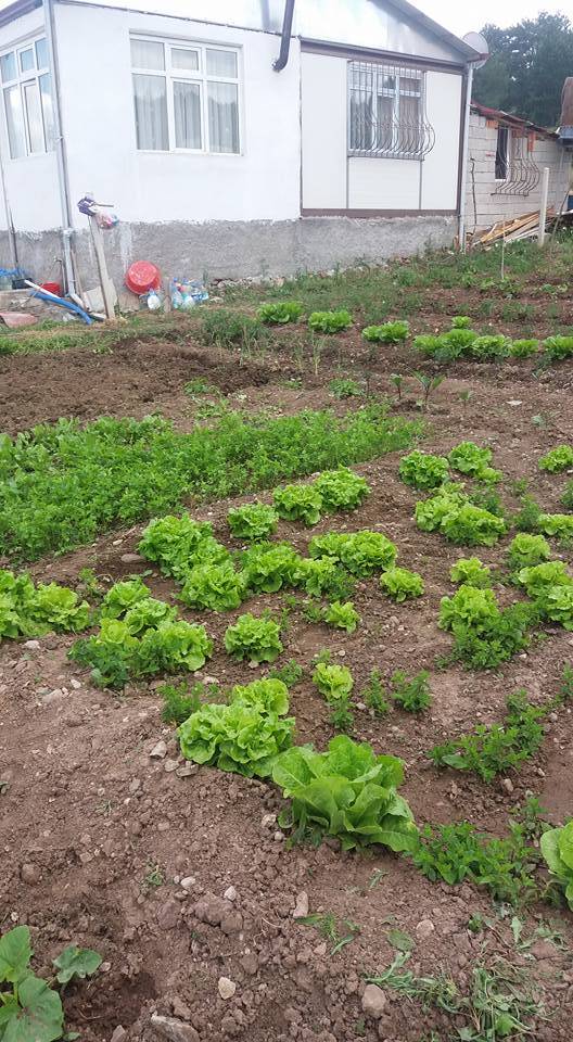 Kızılcahamam Dereneci Köyü Resimleri 4