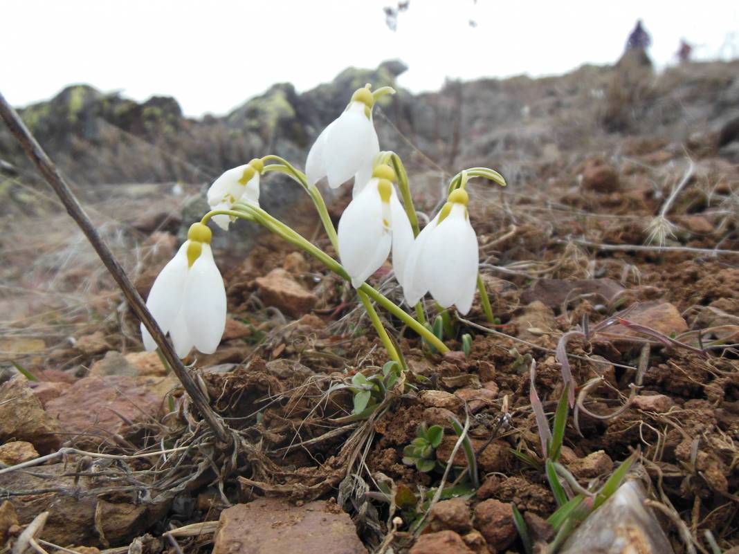 Kızılcahamam Doğanözü Köyü Resimleri 3