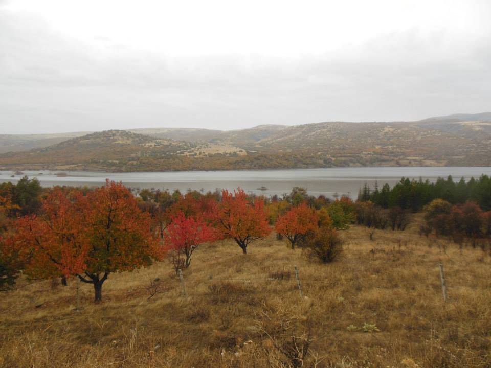 Kızılcahamam Doğanözü Köyü Resimleri 6