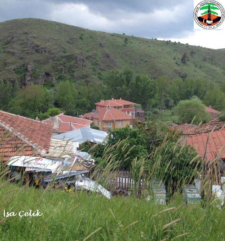 Kızılcahamam Doymuşören Köyü Resimleri 5