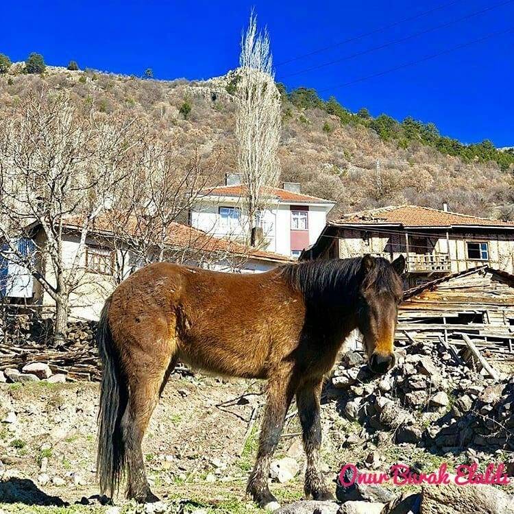 Kızılcahamam Eğerlialören Köyü Resimleri 8