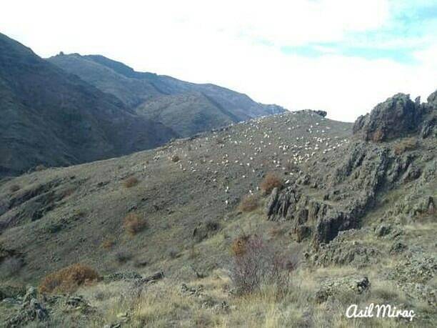 Kızılcahamam Eğerlidereköy Köyü Resimleri 4