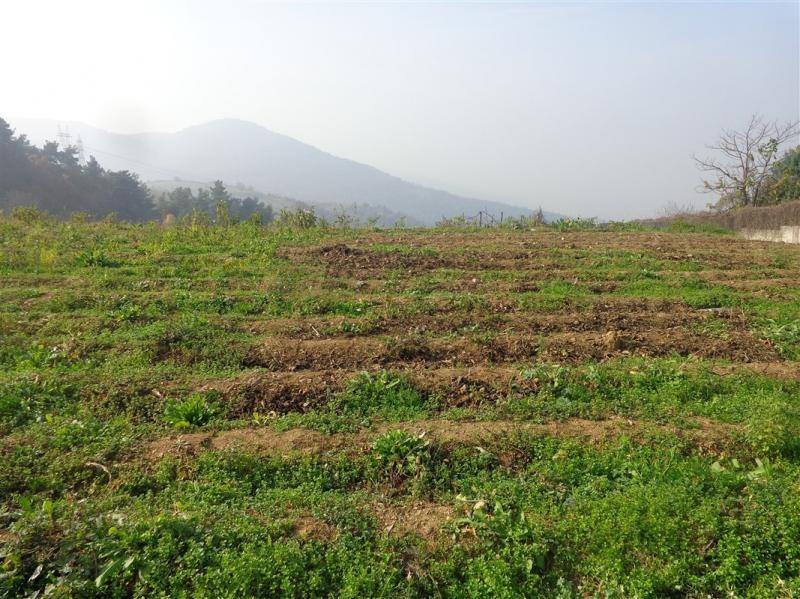 Kaynarca Sarıbeyli Köyü Resimleri 1