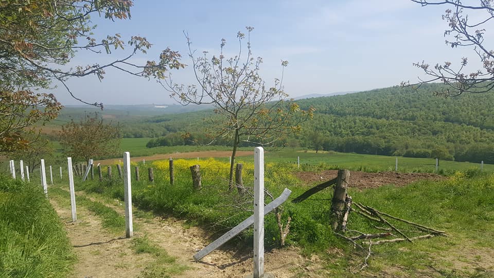 Kaynarca Sarıbeyli Köyü Resimleri 2