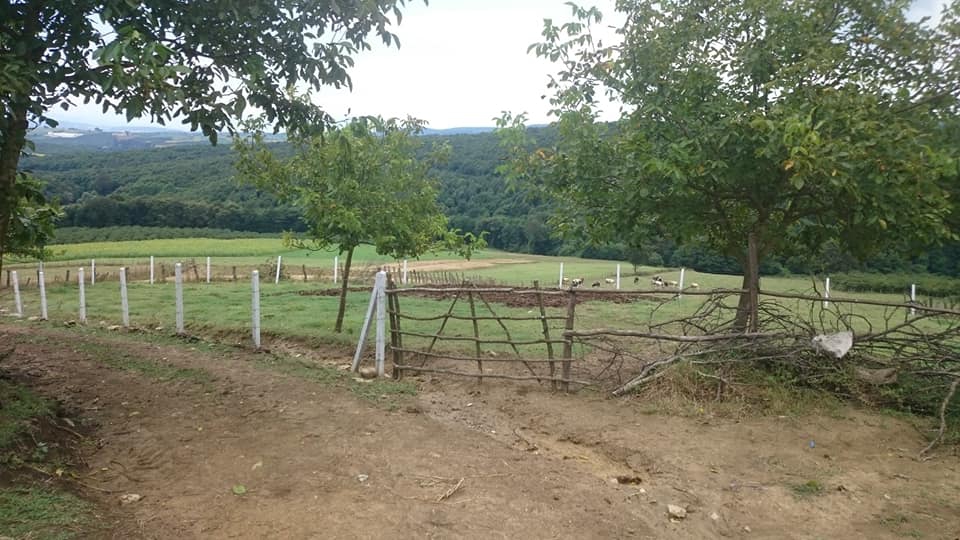 Kaynarca Sarıbeyli Köyü Resimleri 3