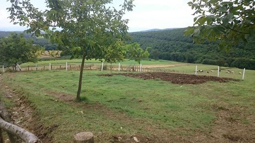 Kaynarca Sarıbeyli Köyü Resimleri 4