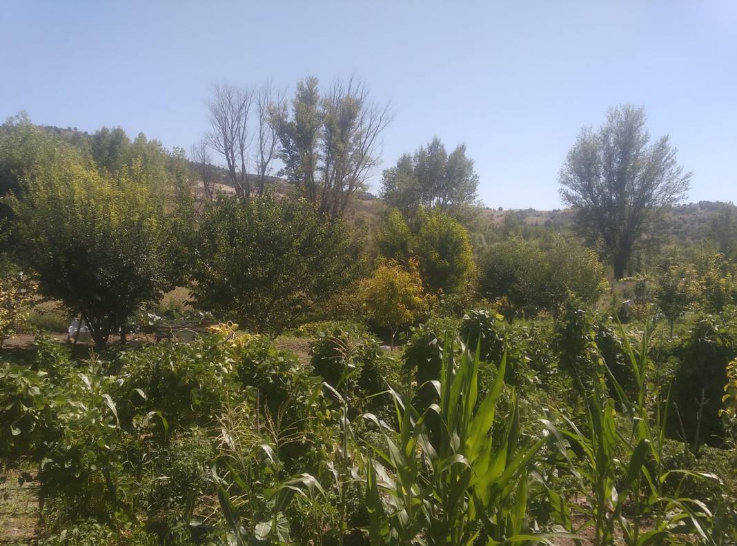 Kızılcahamam Gümele Köyü Resimleri 8