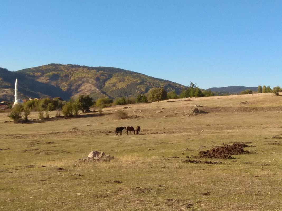 Kızılcahamam Hıdırlar Köyü Resimleri 11