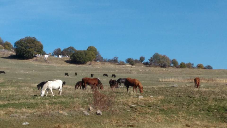 Kızılcahamam Hıdırlar Köyü Resimleri 2