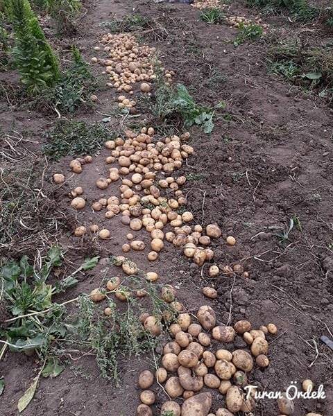 Kızılcahamam Hıdırlar Köyü Resimleri 9