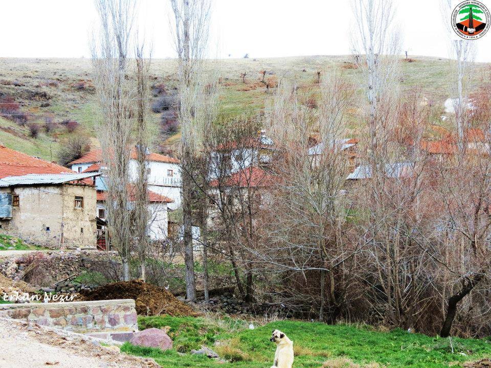 Kızılcahamam İğmir Köyü Resimleri 6