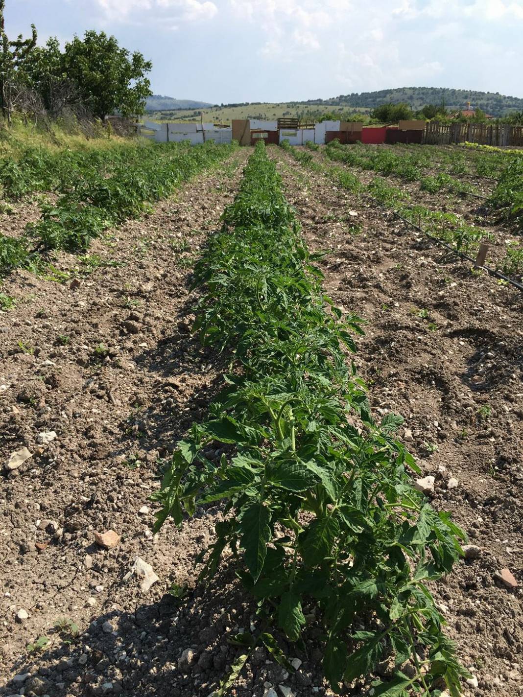 Kızılcahamam Kırköy Köyü Resimleri 2