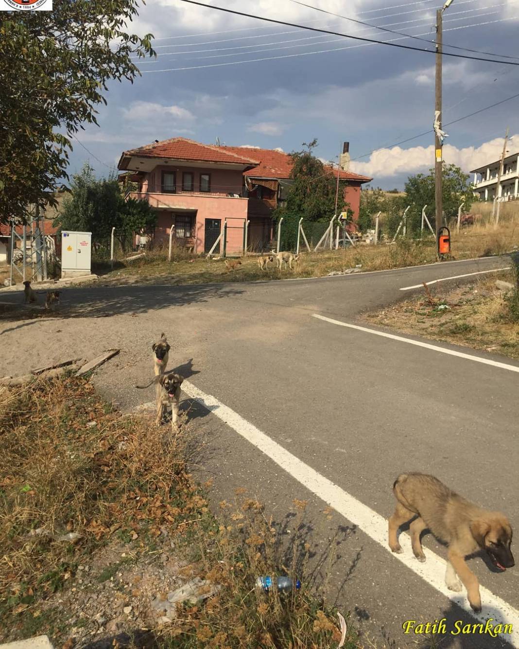 Kızılcahamam Kışlak Köyü Resimleri 2