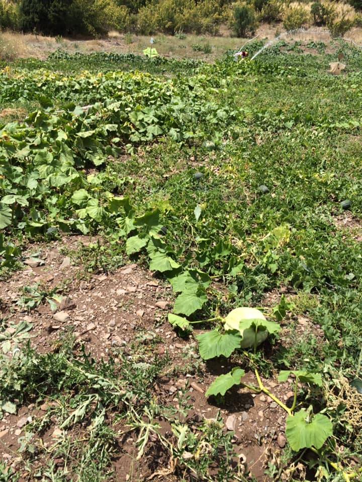 Kızılcahamam Kışlak Köyü Resimleri 4