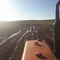 Eyyübiye Altınbaşak Köyü 5