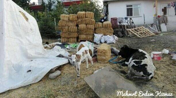 Kızılcahamam Kızık Köyü Resimleri 10