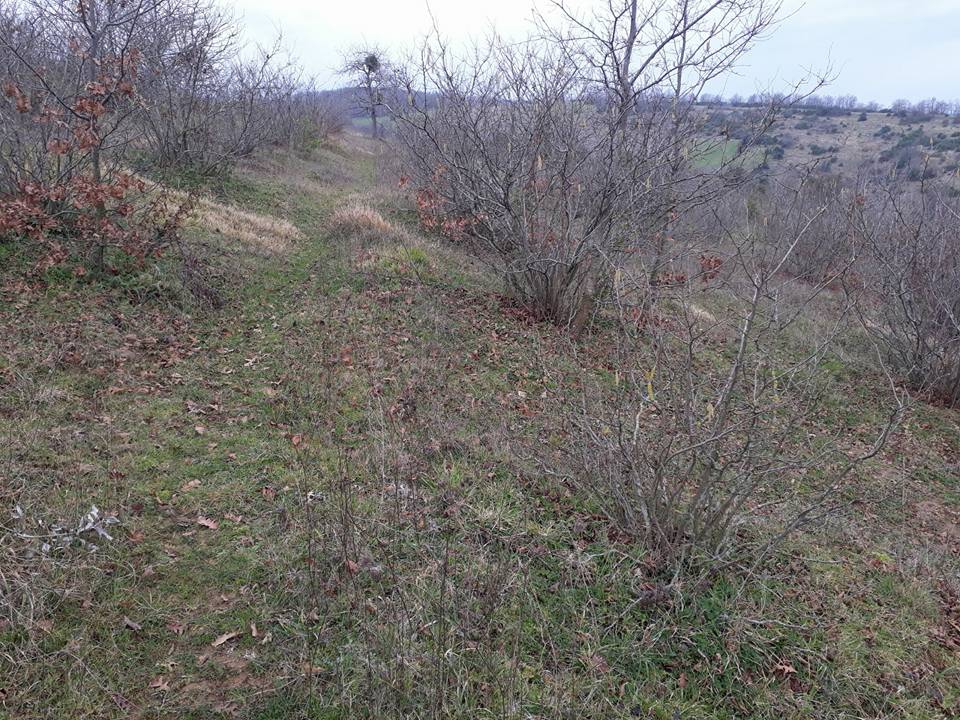 Kaynarca Taşoluk Köyü Resimleri 1