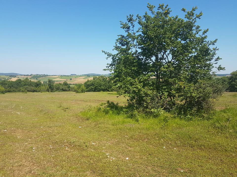 Kaynarca Taşoluk Köyü Resimleri 2