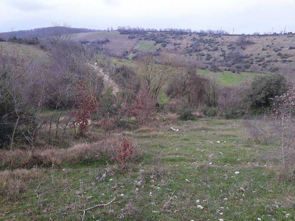 Kaynarca Taşoluk Köyü Resimleri 3