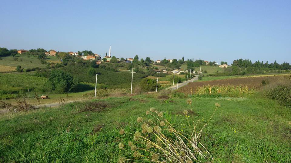 Kaynarca Taşoluk Köyü Resimleri 5