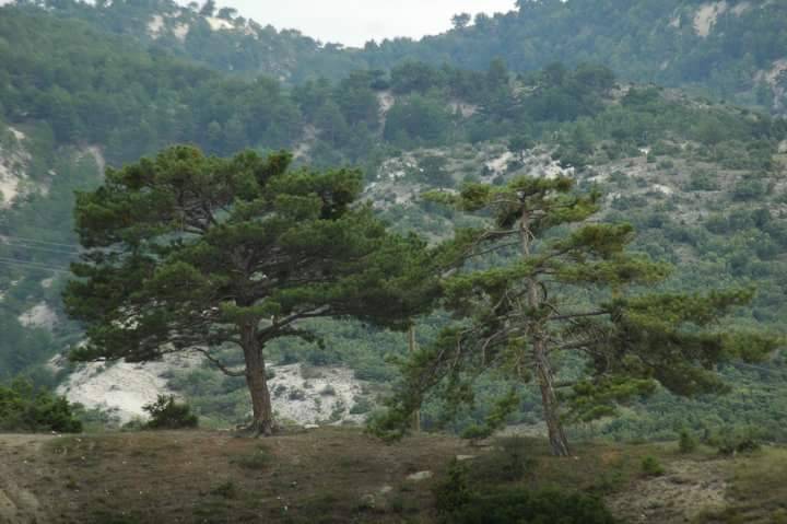 Kızılcahamam Kocalar Köyü Resimleri 2