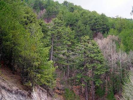 Kızılcahamam Kocalar Köyü Resimleri 3