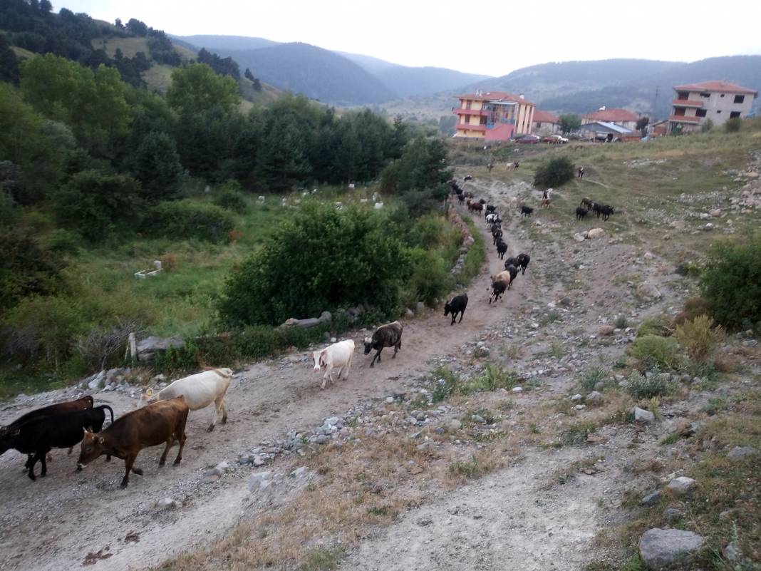 Kızılcahamam Ortaköy Köyü Resimleri 1